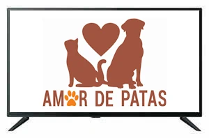 Amor de Patas - Clínica Veterinária